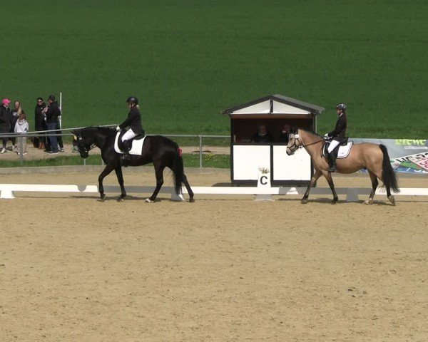 Reitturnier Duderstadt 2025