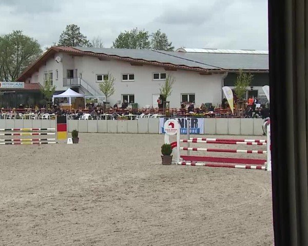 Reitturnier Grafenrheinfeld/Ufr. 2025