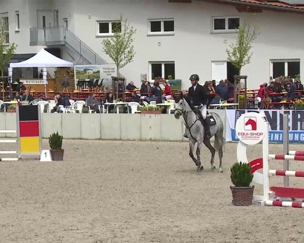 Reitturnier Grafenrheinfeld/Ufr. 2025
