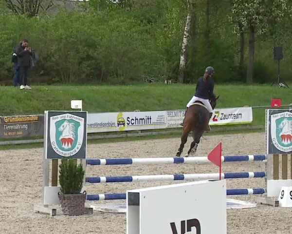 Reitturnier Grafenrheinfeld/Ufr. 2025