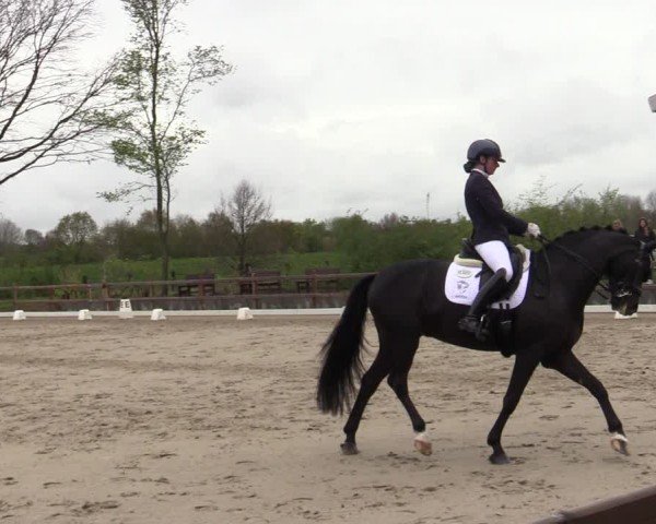 Reitturnier Scharnebeck 2025