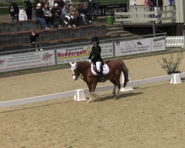 Reitturnier Duderstadt 2025