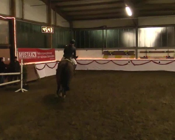 Hallen Late-Entry des RV Südlohn-Oeding 2014