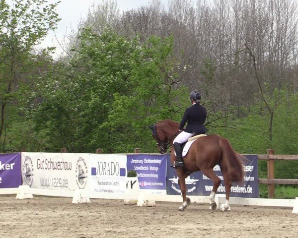 Reitturnier Scharnebeck 2025