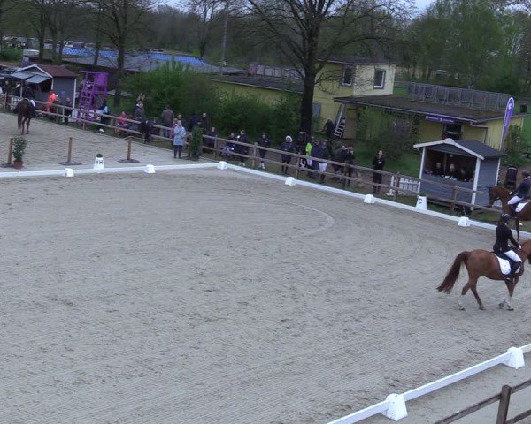 Reitturnier Scharnebeck 2025