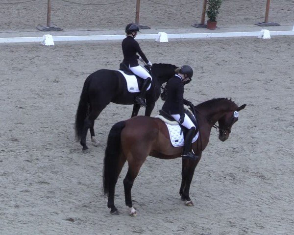 Reitturnier Scharnebeck 2025
