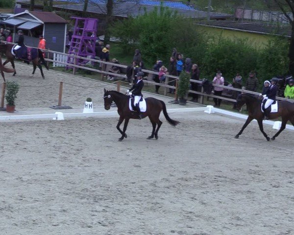 Reitturnier Scharnebeck 2025