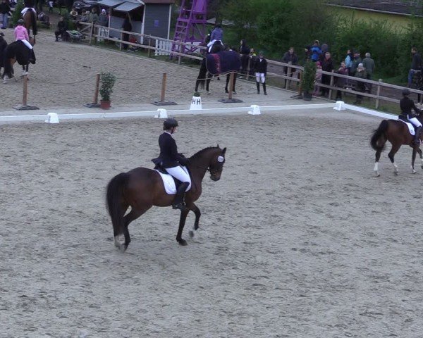 Reitturnier Scharnebeck 2025