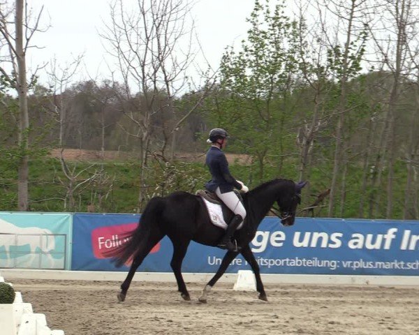 Reitturnier Scharnebeck 2025