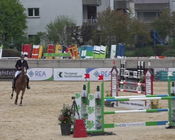 Reitturnier Amriswil 2025