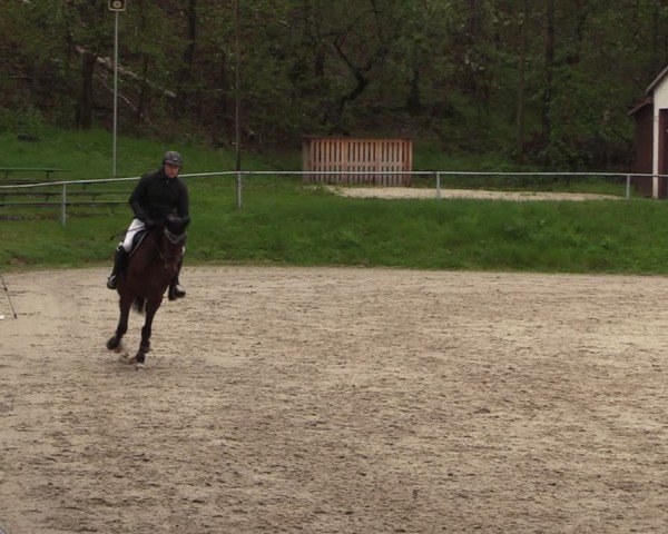 Reitturnier Langenleuba - Oberhain 2025