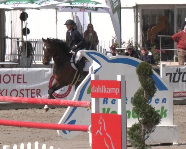 Lenklarer Reitertage Werne 2025