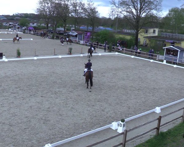 Reitturnier Scharnebeck 2025