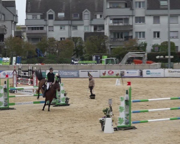 Reitturnier Amriswil 2025