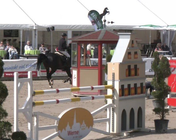 Reitturnier Werne-Lenklar 2025