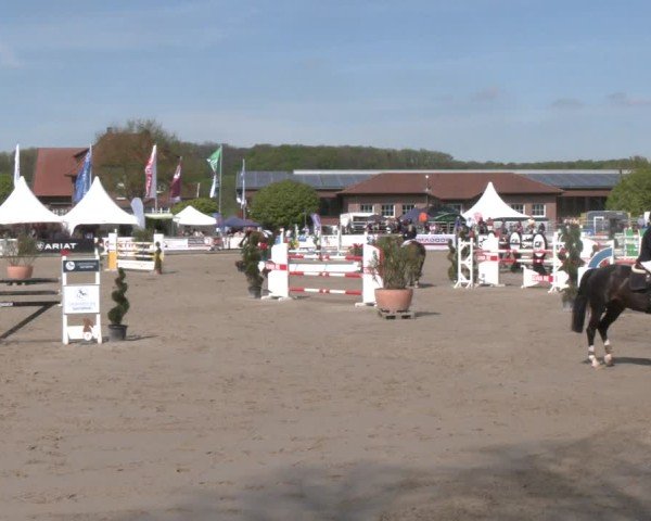 Reitturnier Werne-Lenklar 2025