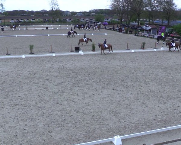 Reitturnier Scharnebeck 2025