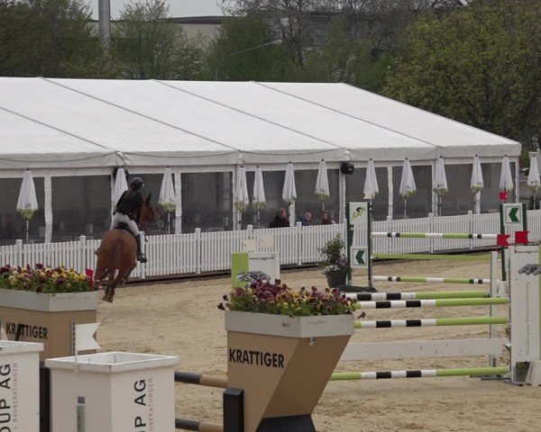 Reitturnier Amriswil 2025