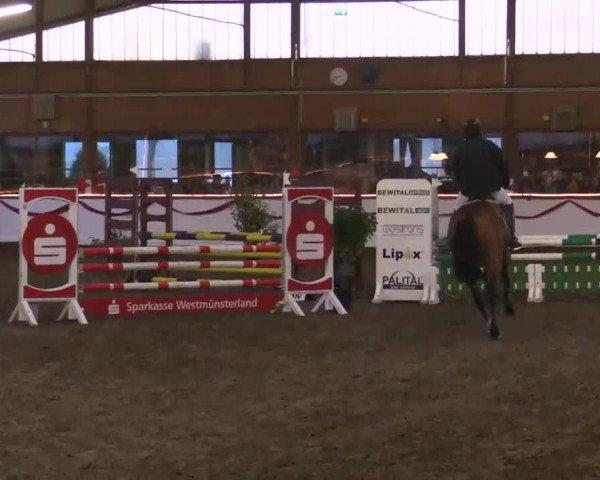 Hallen Late-Entry des RV Südlohn-Oeding 2014