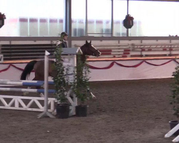 Hallen Late-Entry des RV Südlohn-Oeding 2014