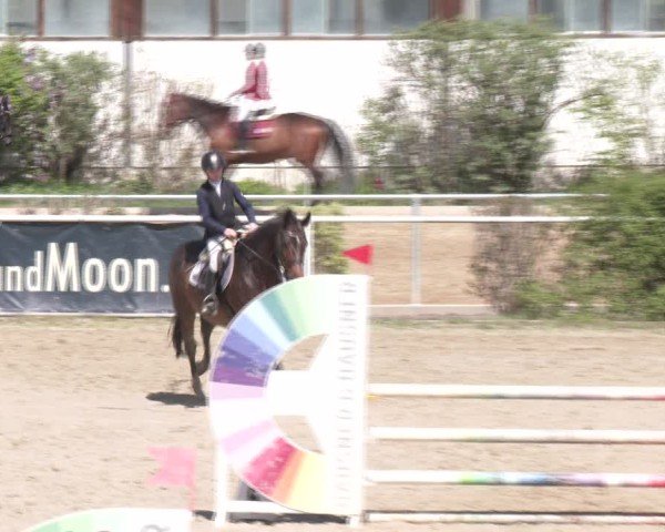 Reitturnier Margarethen am Moos 2025