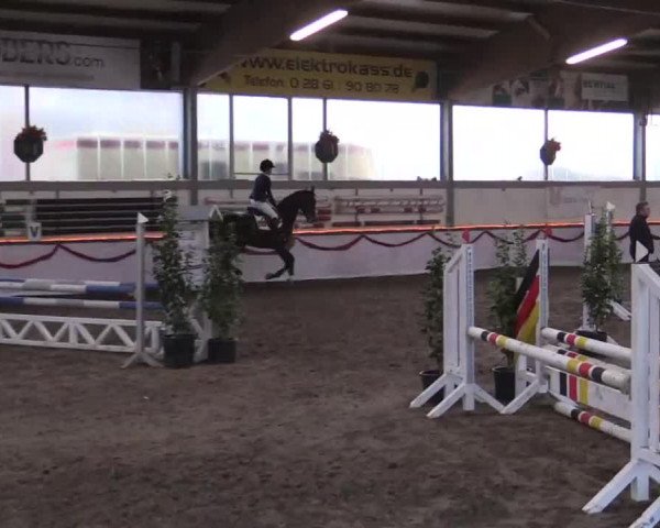 Hallen Late-Entry des RV Südlohn-Oeding 2014
