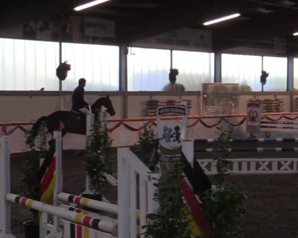 Hallen Late-Entry des RV Südlohn-Oeding 2014