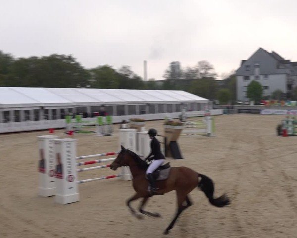 Reitturnier Amriswil 2025