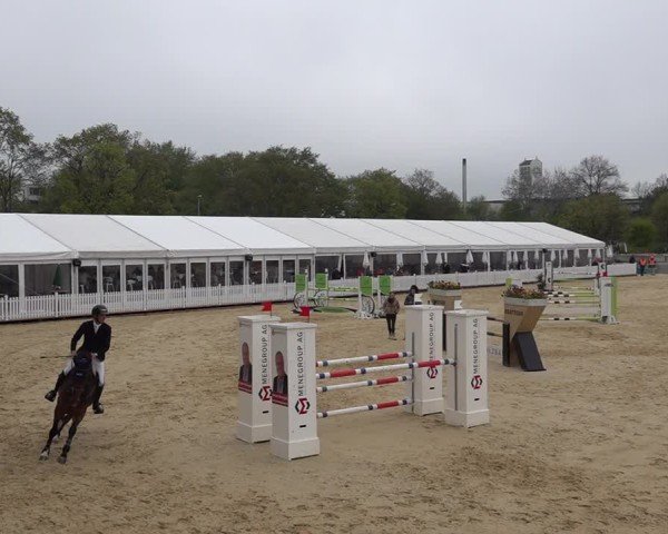Reitturnier Amriswil 2025