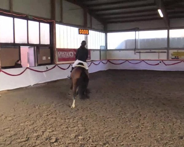 Hallen Late-Entry des RV Südlohn-Oeding 2014