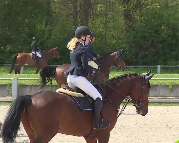 Reitturnier Grafenrheinfeld/Ufr. 2025