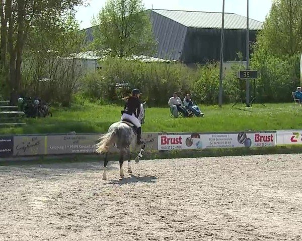Reitturnier Grafenrheinfeld/Ufr. 2025