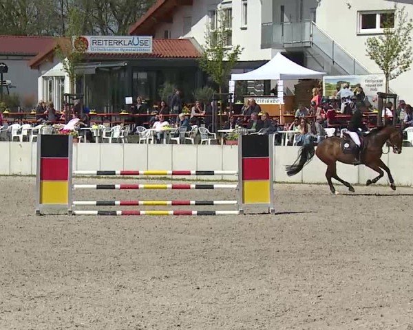 Reitturnier Grafenrheinfeld/Ufr. 2025