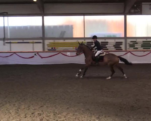Hallen Late-Entry des RV Südlohn-Oeding 2014