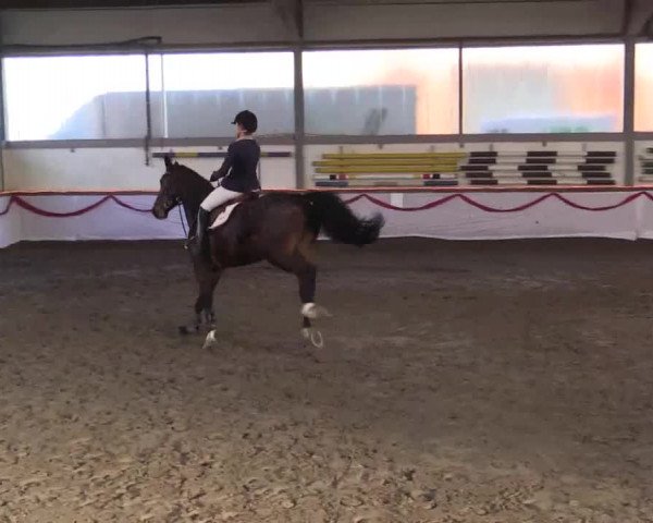 Hallen Late-Entry des RV Südlohn-Oeding 2014