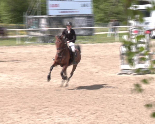 Reitturnier Margarethen am Moos 2025