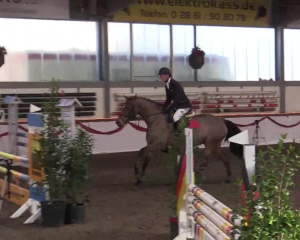 Hallen Late-Entry des RV Südlohn-Oeding 2014