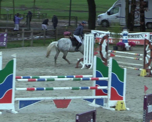 Reitturnier Westergellersen 2025