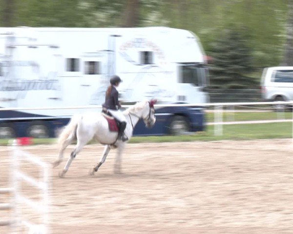 Reitturnier Margarethen am Moos 2025