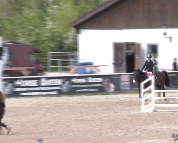 Reitturnier Margarethen am Moos 2025