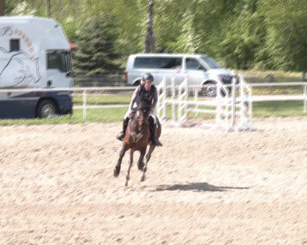 Reitturnier Margarethen am Moos 2025