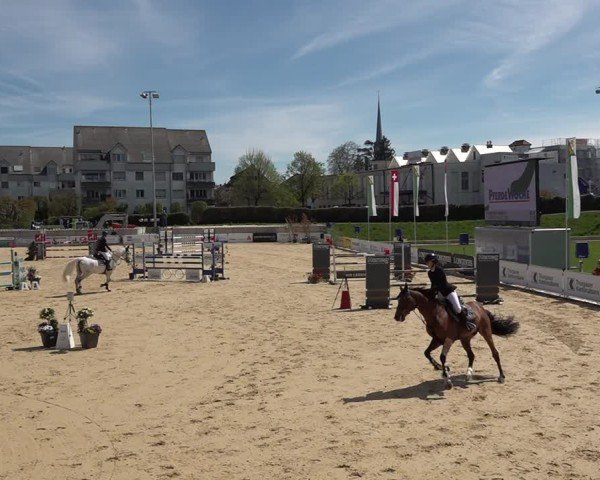 Reitturnier Amriswil 2025