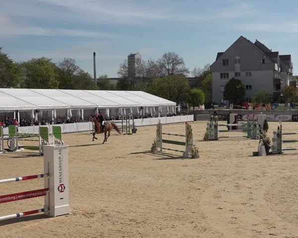Reitturnier Amriswil 2025