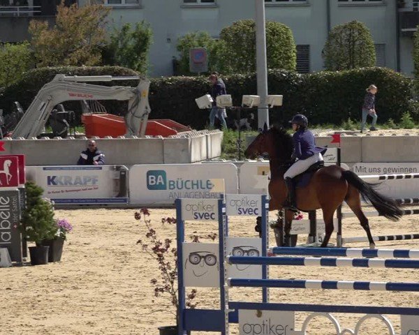 Reitturnier Amriswil 2025