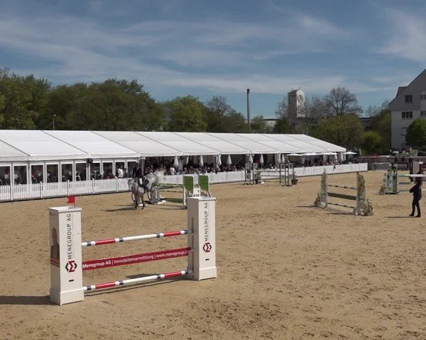Reitturnier Amriswil 2025