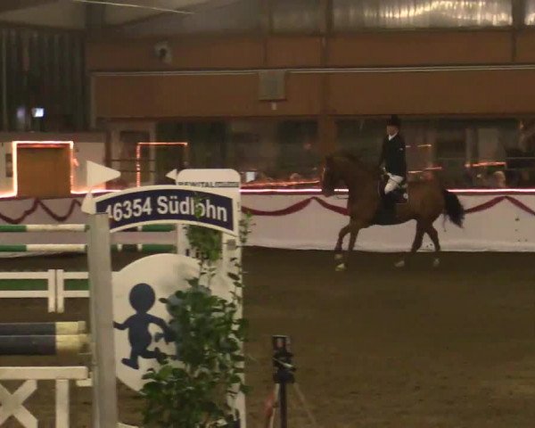 Hallen Late-Entry des RV Südlohn-Oeding 2014