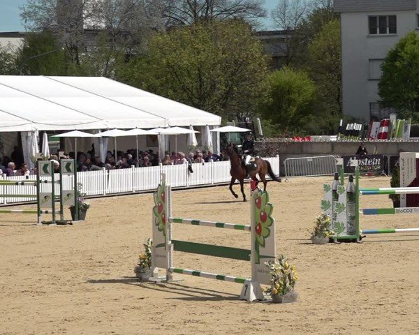 Reitturnier Amriswil 2025