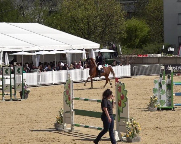 Reitturnier Amriswil 2025