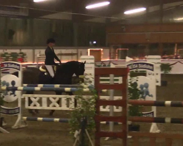 Hallen Late-Entry des RV Südlohn-Oeding 2014
