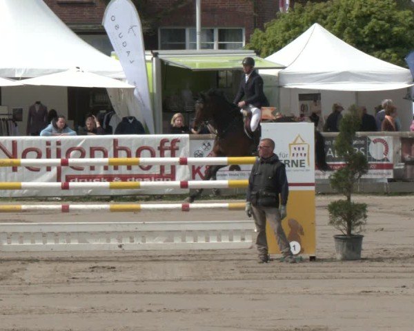 Lenklarer Reitertage Werne 2025